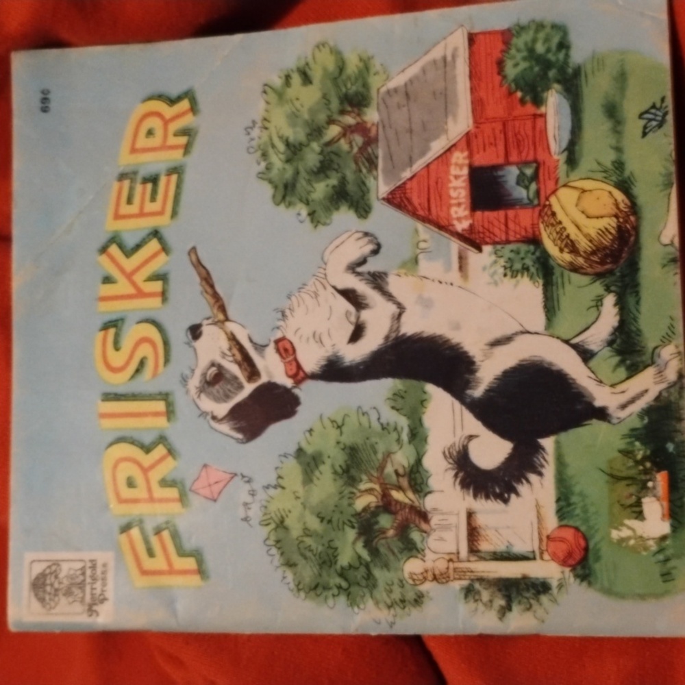 🛟  FRISKER  Vintage CHILDRENS BOOK  RESCUE 🐕 1956